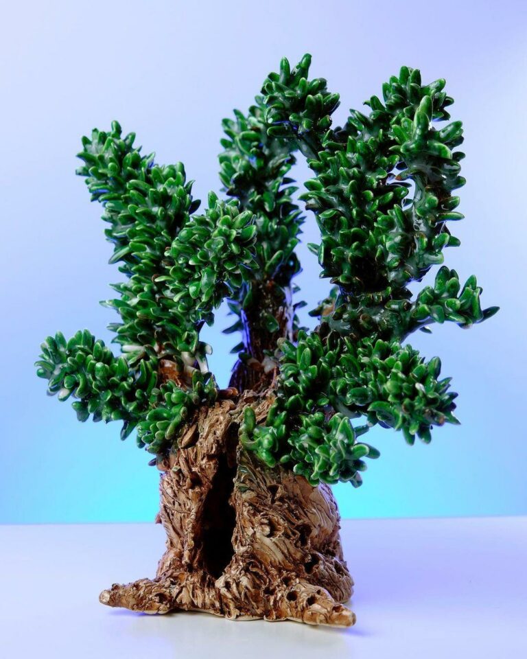 Albero ulivo