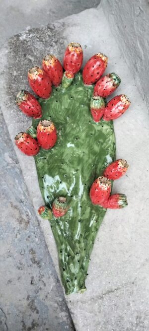 pala fico di Puglia
