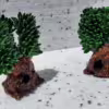 albero ulivo