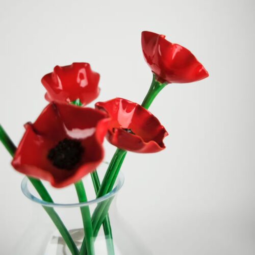 cf fiore papavero 02