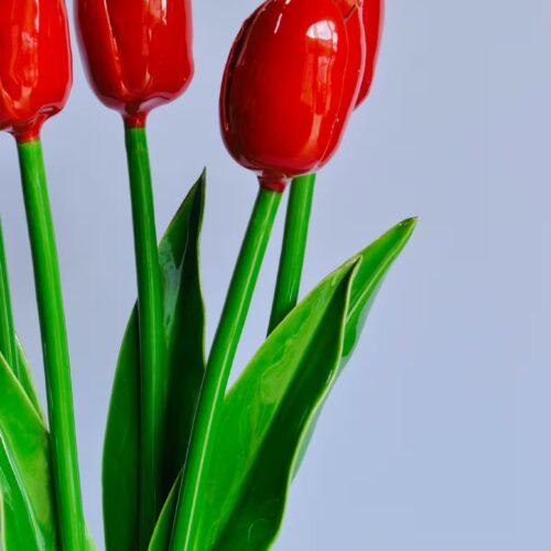 cf fiore tulipano 01