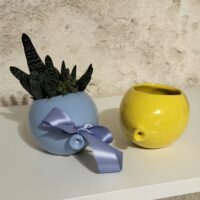 ml palloncino pianta