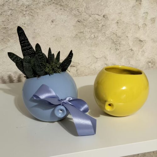 ml palloncino pianta