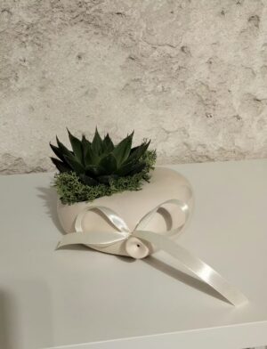 ml palloncino pianta3