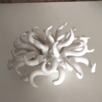 ml anemone6