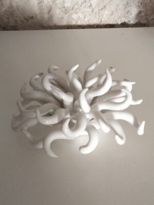ml anemone6