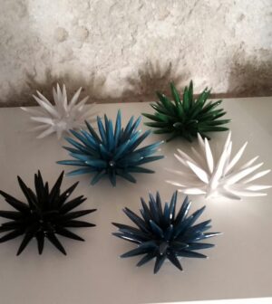 ml riccio5